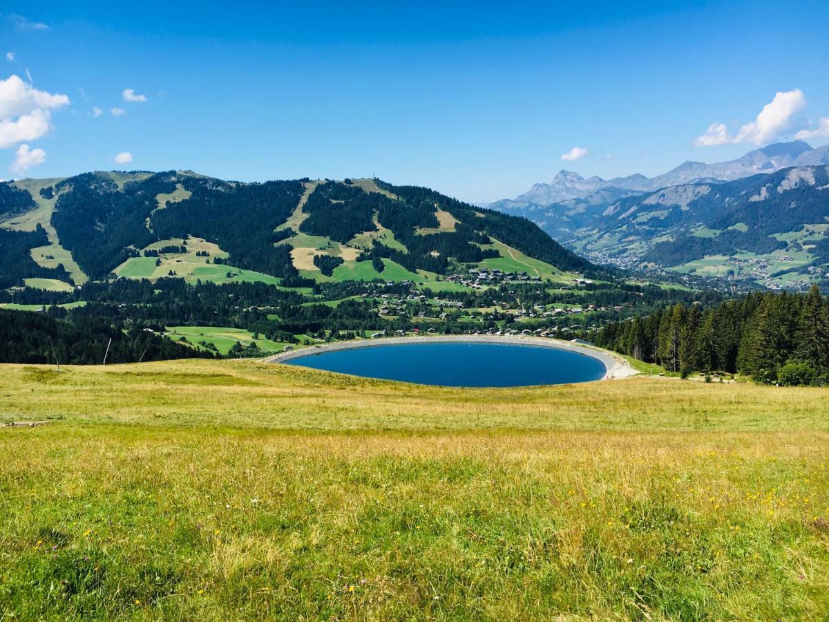 Le Hameau Des Neiges Διαμέρισμα Praz-sur-Arly Εξωτερικό φωτογραφία